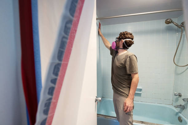 Best Emergency Mold Remediation  in Cross City, FL