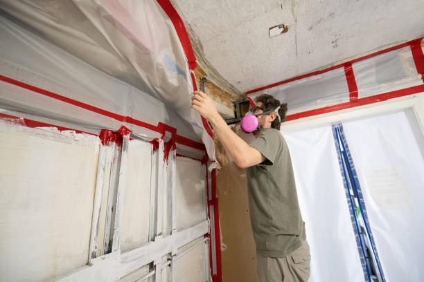 Best Mold Removal for HVAC Installations  in Cross City, FL
