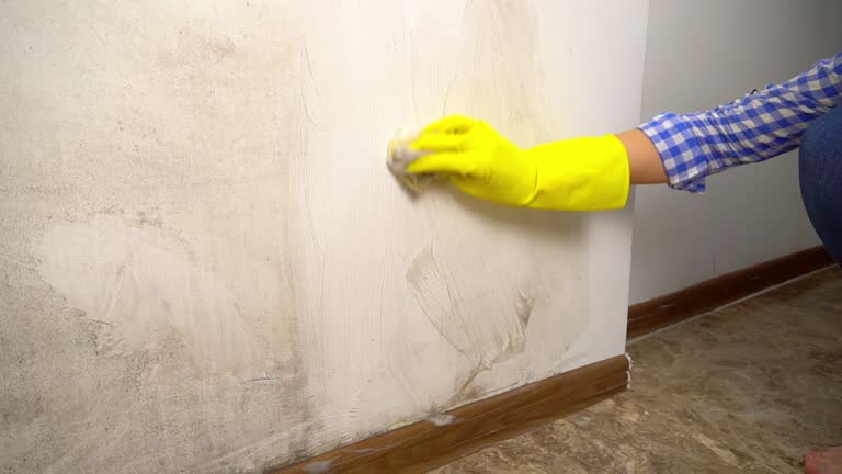 Mold Removal for HVAC Installations in Cross City, FL