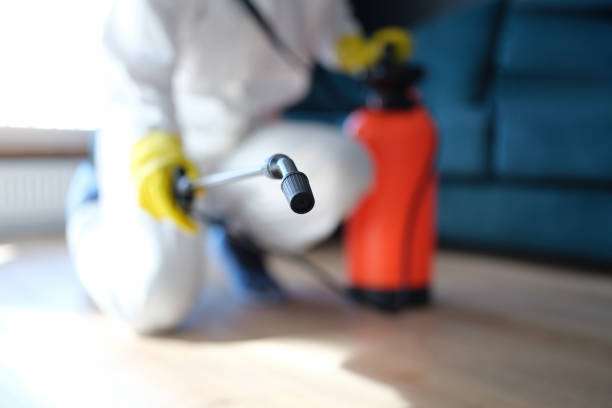 Best Mold Remediation for Healthcare Facilities  in Cross City, FL
