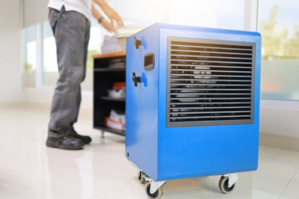 Best Comprehensive Air Testing for Mold Contaminants  in Cross City, FL