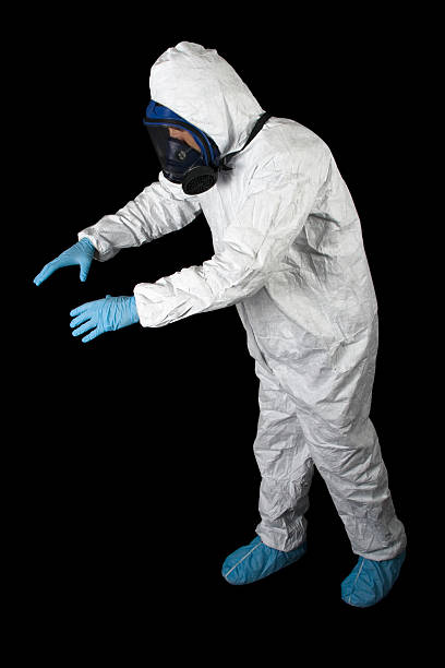 Best Basement Mold Removal  in Cross City, FL