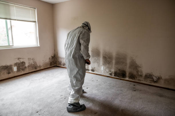 Best Post-Remediation Verification Testing  in Cross City, FL